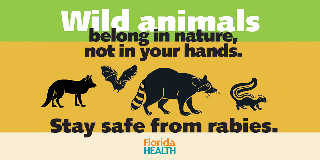 wild animals belong in nature, not in your hands. Stay safe from rabies. Florida Health