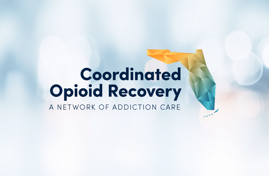 Logo for the CORE Network